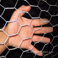 Malha de arame de galinha hexagonal revestida ou galvanizada em PVC ou galvanizada